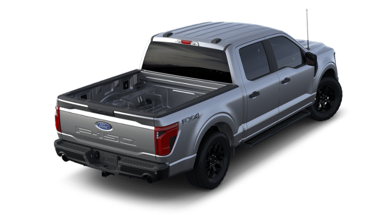 2024 Ford F-150 Vehicle Photo in Terrell, TX 75160